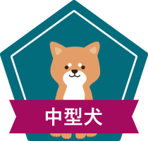 中型犬